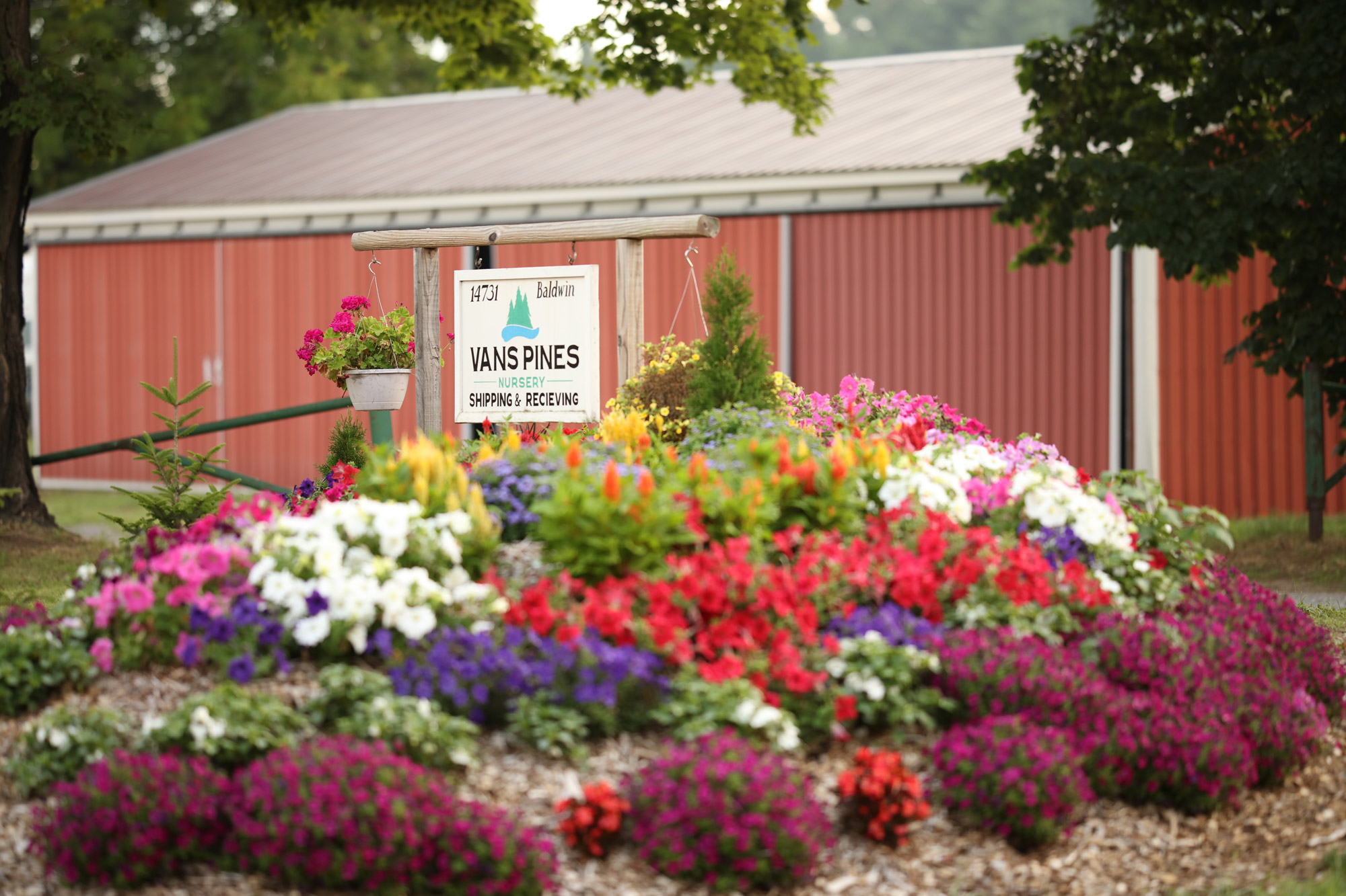 Vans Pines Nursery Sign